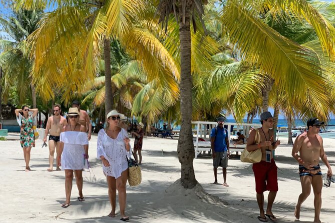 Full Day Tour to Isla Saona and Altos De Chavon - Good To Know