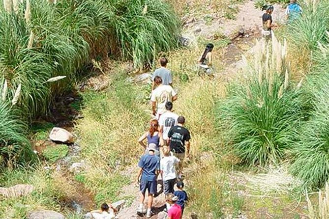 Full Day Trekking to Vallecitos, From Mendoza - Good To Know