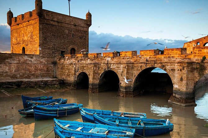 Full-Day Trip to Essaouira From Agadir - Key Points