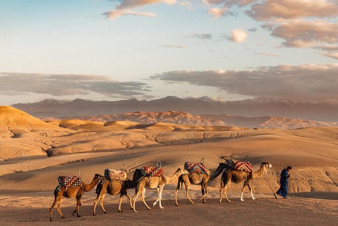 Full Day Trip to the Three Valleys in the Atlas Mountain From Marrakech Shared - Trip Overview