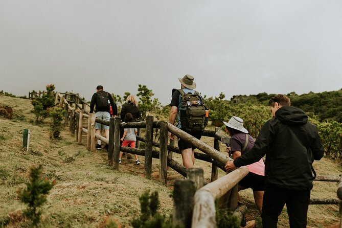 Full Day Van Tour - Terceira Island - Good To Know