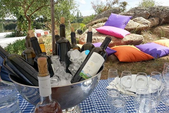 Full-Day Wine Tour From Istanbul - Tour Overview