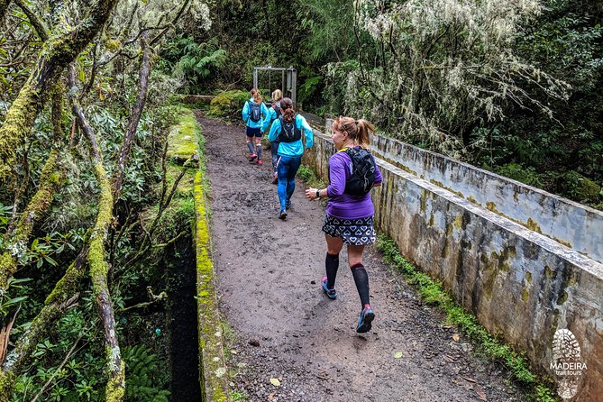 Funchal Half-Day Trail Running Small-Group Tour - Pricing and Inclusions