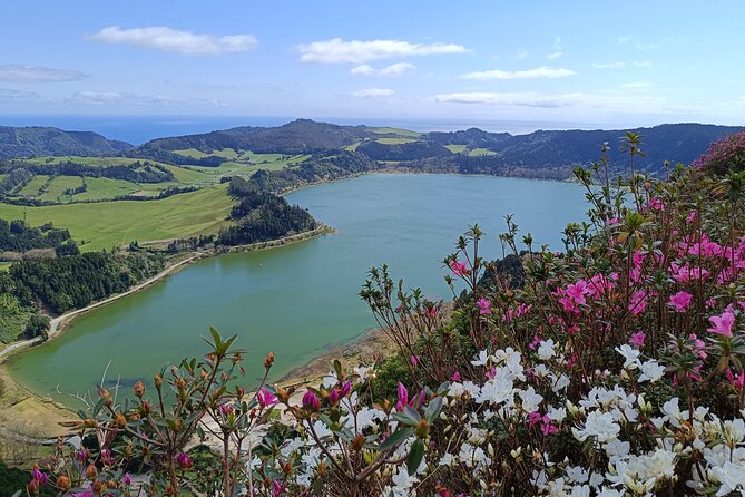 Furnas Vale, Gorreana Tea Factory Tour Review - Key Points