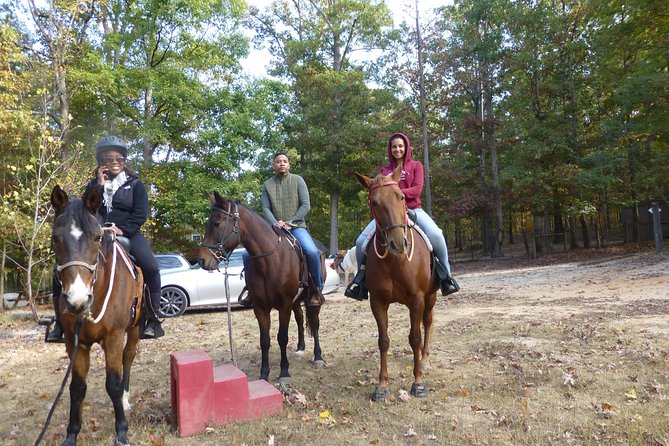 Georgia Horseback Ride With Wine Tasting - Key Points