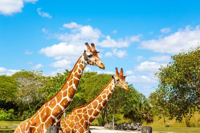 Go City: Miami All-Inclusive Pass With 25+ Attractions and Tours - Good To Know