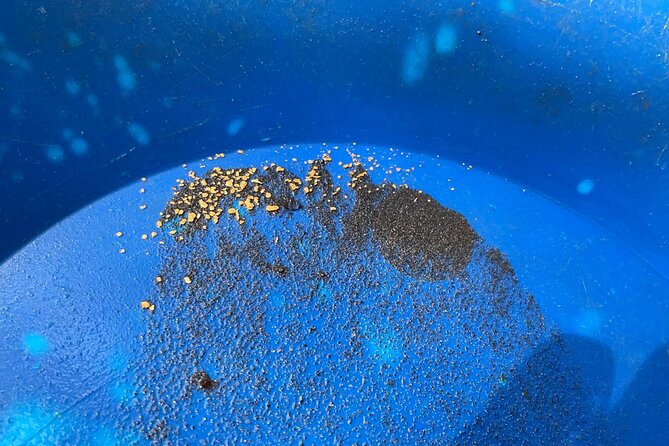 Gold Panning Activity at Mission Creek - Good To Know