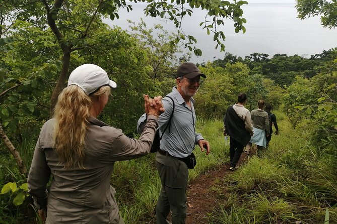 Gombe National Park Chimpanzee Trekking - Overview of Gombe National Park