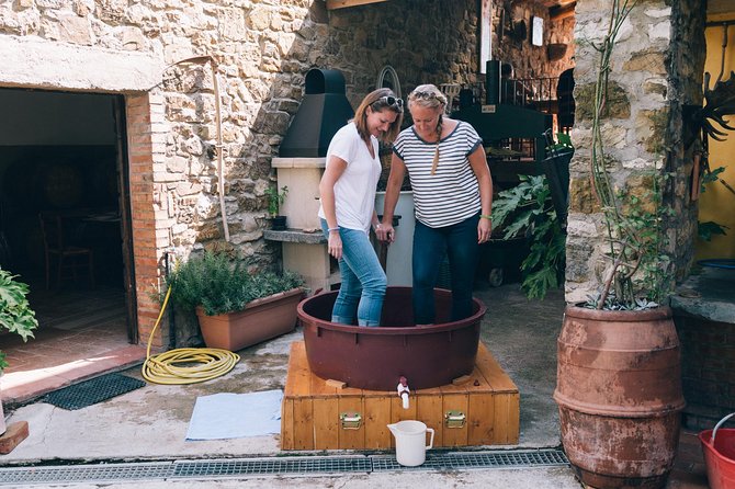 Grape Stomping in Chianti Tuscan Farmhouse From Siena - Good To Know