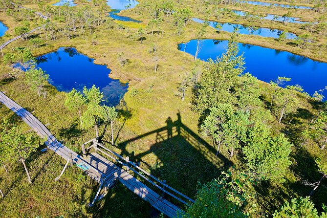 Great Bog Discovery With Optional Sunrise & Jūrmala Visit - Key Points