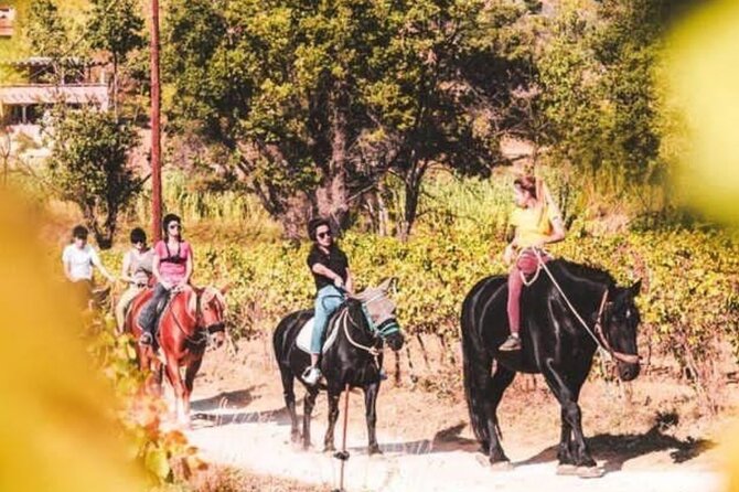 Grimaud Horse Riding and Wine Tasting Review - Key Points