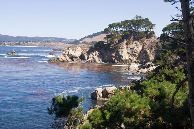 Guided 2-Hour Point Lobos Nature Walk - Good To Know
