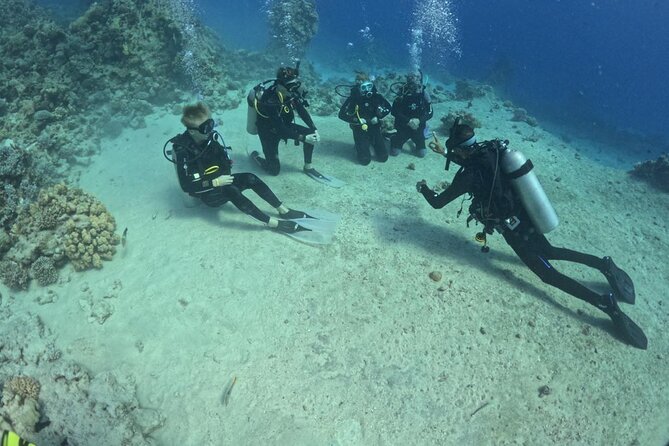 Guided Diving Experience for Padi OW in Red Sea and Sinai - Good To Know