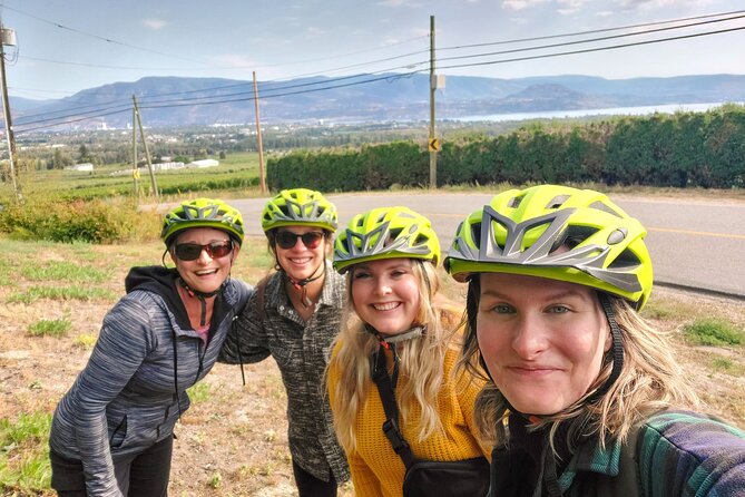 Guided E-Bike Wine Tour With Tastings and Lunch - Good To Know