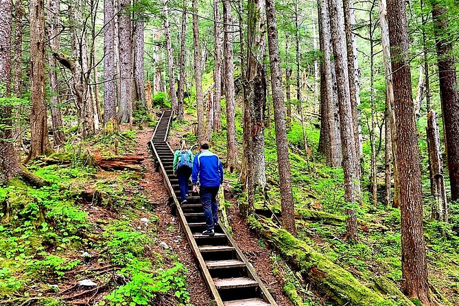 Guided Hike | TONGASS NATIONAL FOREST - Good To Know