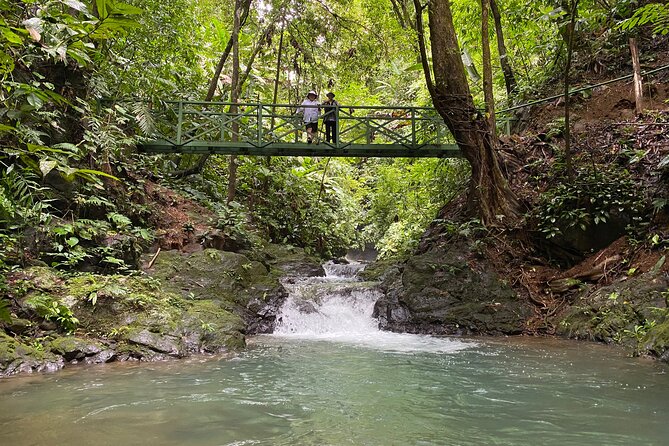 Guided Hiking Tour by the Mystic Ebano Rainforest in Costa Rica - About Your Stay