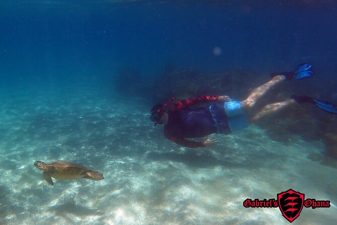 Guided Kayak and Snorkeling Tour - Olowalu - Good To Know