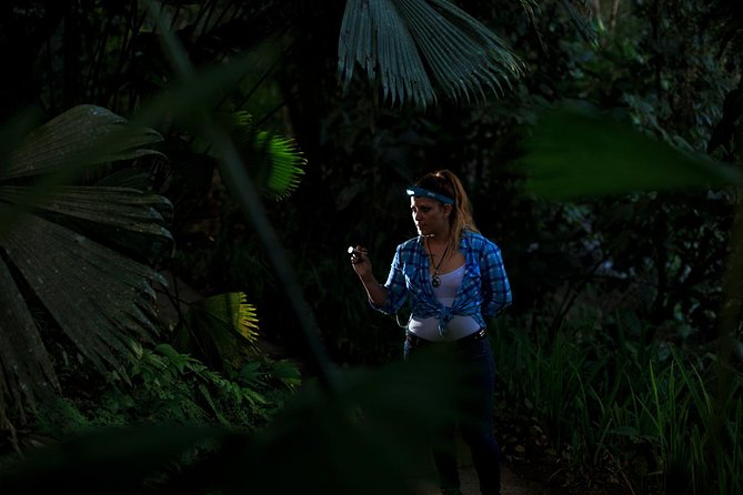 Guided Night Hike Arenal Mundo Aventura - About Your Stay