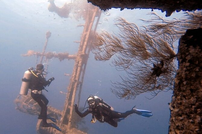 Guided Scuba Diving Adventure in Aqaba - Good To Know