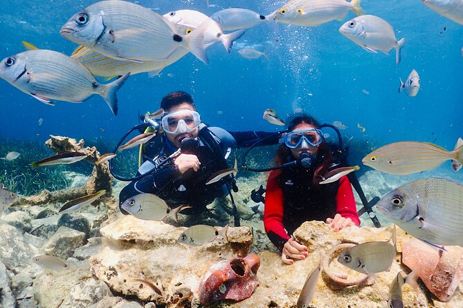 Guided Scuba Diving Experience in Kusadasi - Good To Know