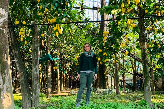 Guided Tour of the History and Tradition of the Sorrento Lemon - Good To Know