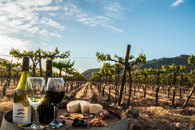 Guided Tour, Tasting and Pairing in Viña Choapa, Salamanca, Coquimbo Region. - About Your Stay
