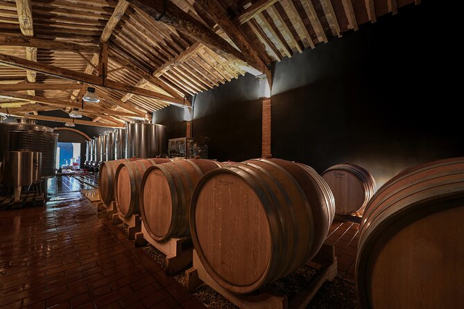Guided Winery Tour and Wine Tasting in Siena - Experience Overview
