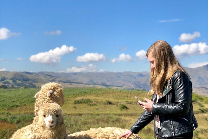 Half Day Acclimatization Hike With Llamas and Alpacas in Cusco - About Your Stay