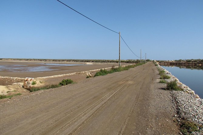 Half-Day Birdwatching Around Tavira - Good To Know