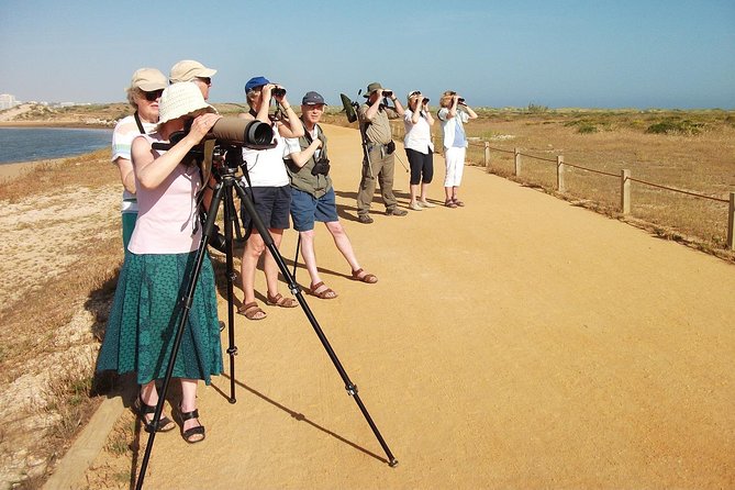 Half-Day Birdwatching at Alvor Dunes - Good To Know