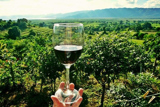 Half-Day Chianti Wine and Olive Oil Tour From Viareggio - Good To Know