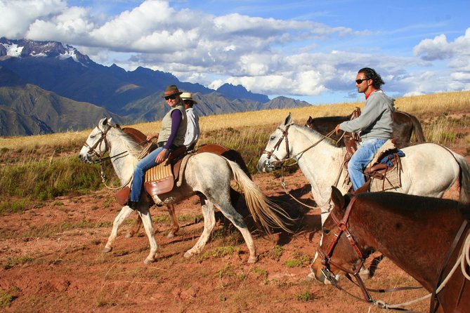 Half Day - City Horse Traditional Riding Tour Group Service - About Your Stay