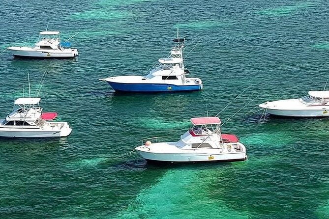 Half Day Deep Sea Fishing Tour From Punta Cana - Good To Know