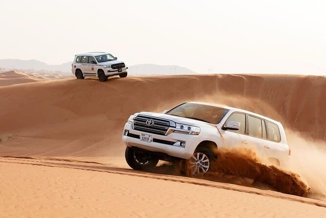 Half-Day Desert Safari Private Tour in Abu Dhabi - Good To Know