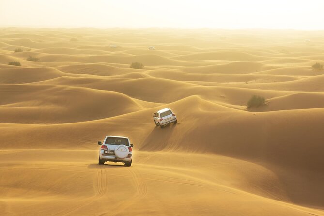 Half-Day Dubai Dunes Desert Safari Experience - Overview of the Experience