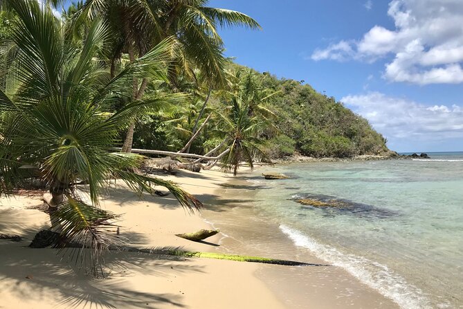 Half Day Jeep Tours and Excursions in Virgin Islands - Tour Highlights