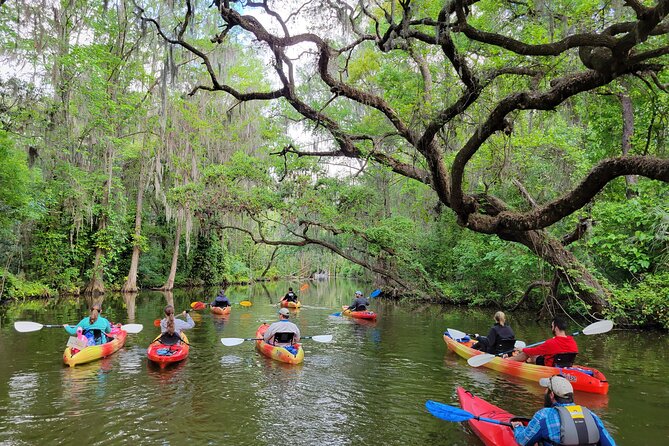 Half Day Kayak and Paddle Board Rentals on the Scenic Dora Canal - Good To Know