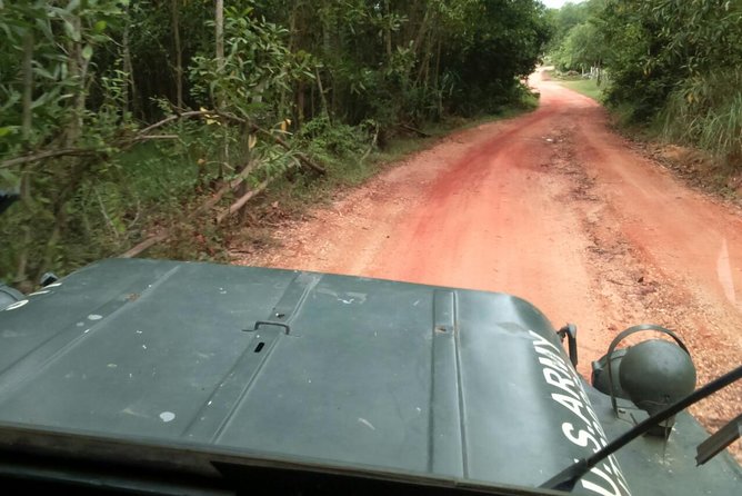 Half Day My Son Holy Land by Jeep From Hoi an - Good To Know