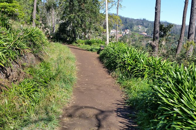 Half-Day Paradise Valley Walking Tour - Good To Know