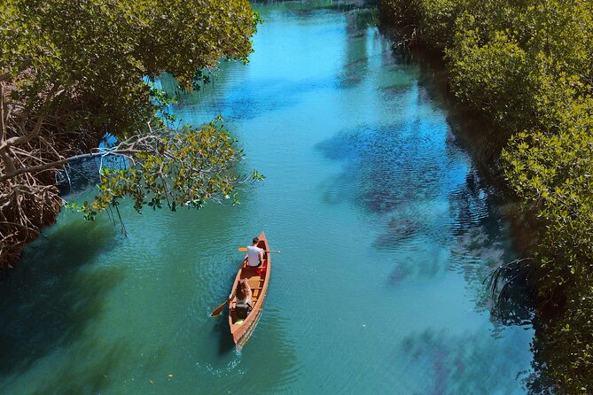 Half-Day Private Los Haitises Caves and Mangroves Canoe Tour - Tour Overview