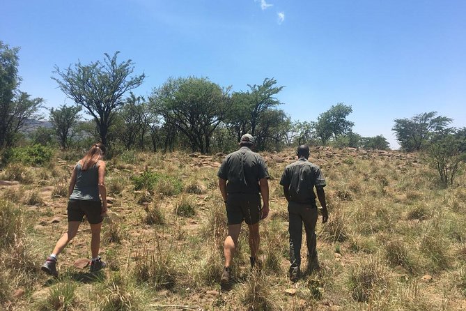 Half Day Safari Tour From Johannesburg - Good To Know