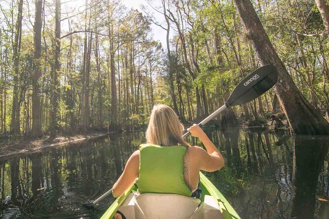 Half-Day Shingle Creek Guided Kayak Tour With Lunch and Roundtrip Transport - Good To Know