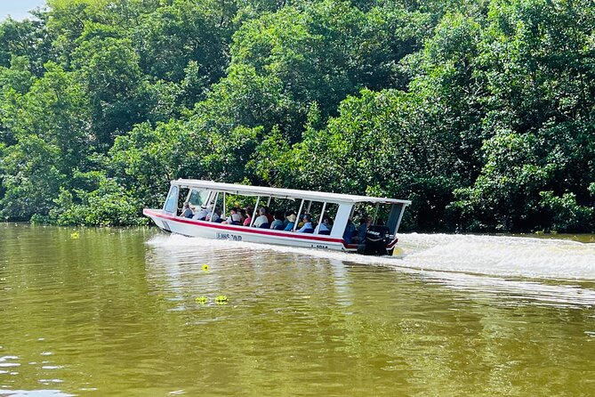 Half Day Tortuguero Canal, Cahuita National Park & Puerto Limon - About Your Stay