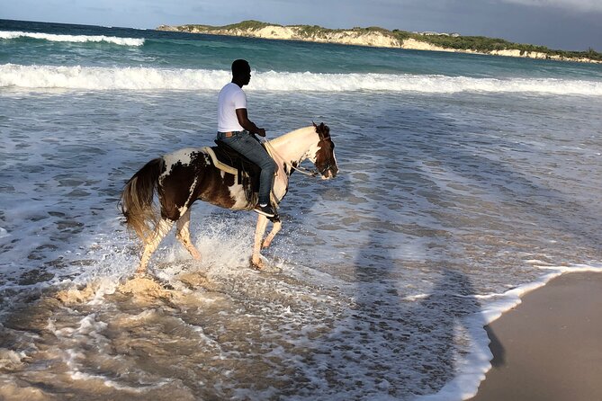Half-Day Tour 2-in-1, Redonda Mountain & Horseback Riding Tour in Macao Beach - Tour Overview