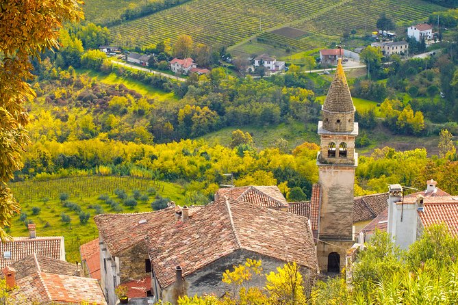 Half Day Trip to Motovun With Local Brandies Tasting - Good To Know