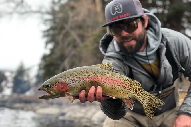 Half Day Walk and Wade Fly Fishing Trip - Good To Know