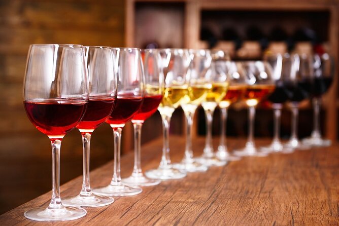 Half-Day Wine Tastings in the North Georgia Mountains - Good To Know