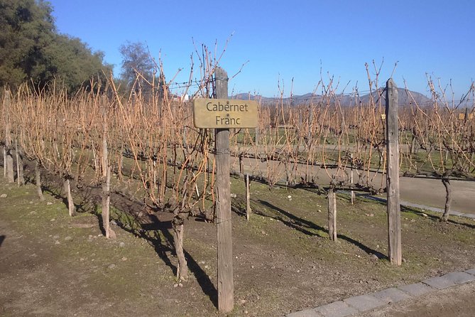 Half Day Wine Tour to Concha Y Toro From Santiago Seasonal Offer - Good To Know
