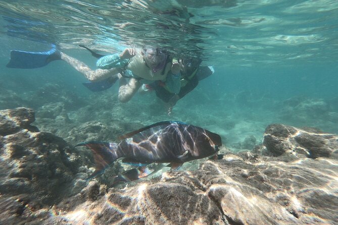 Hanauma Bay Guided Snorkeling Tour - Good To Know