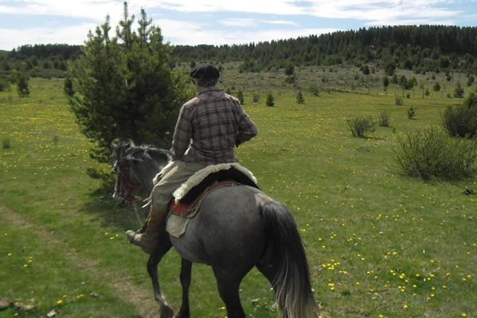 Haneck Horseback Riding - About Your Stay